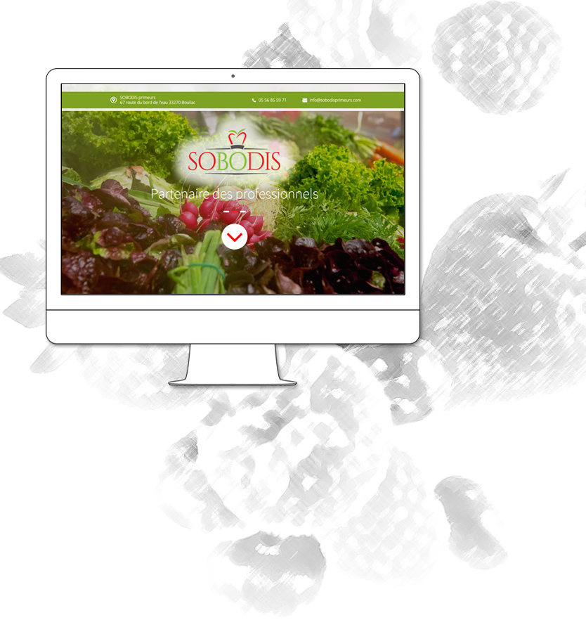 création site internet grossiste fruits et légumes bordeaux